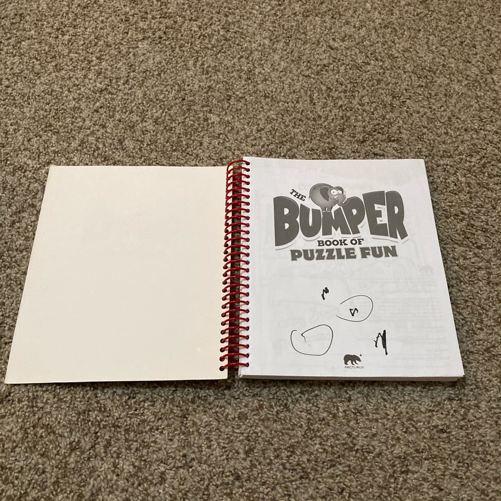 Fun Puzzle Activity Book - Picture 3 of 16